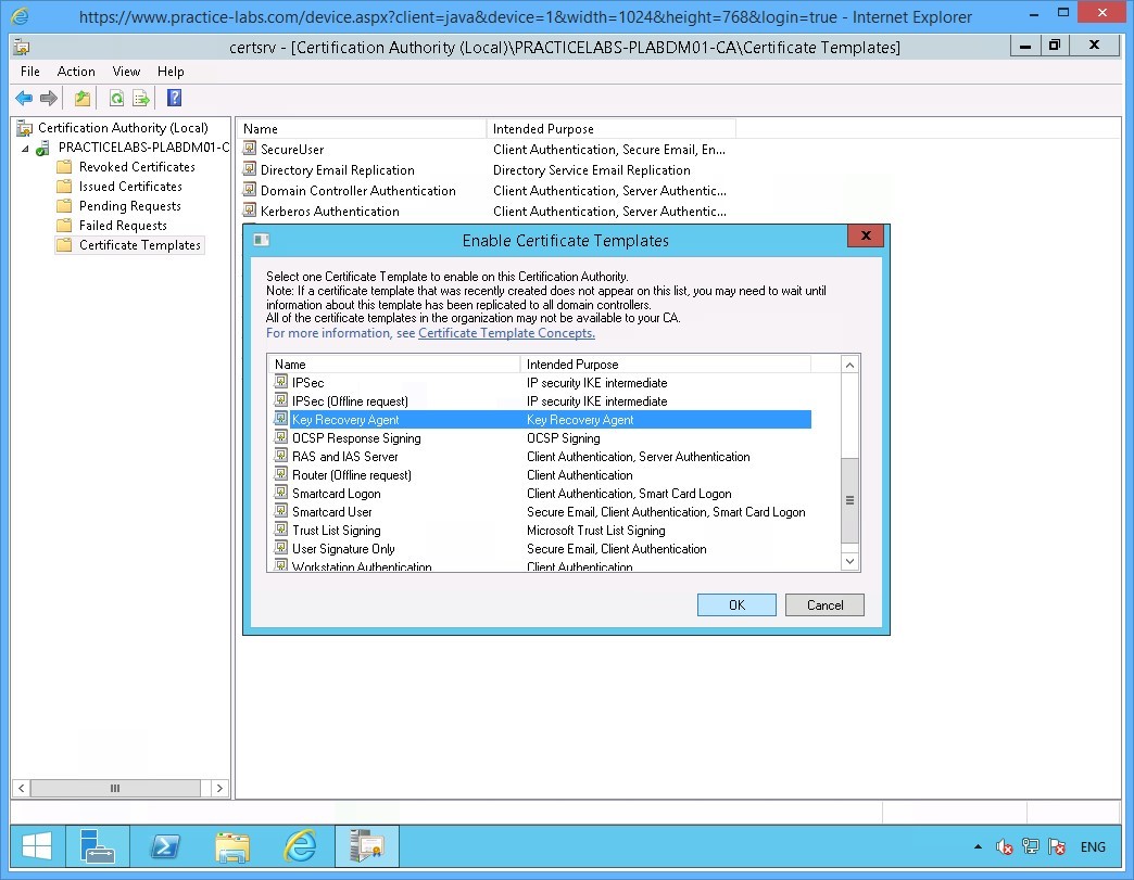 Practice Labs screenshot.
